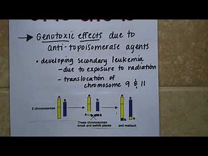 Doxorubicin- Cancer drug