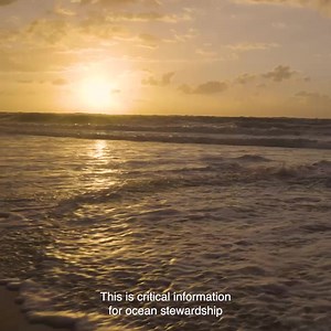 26 reactions | Weizmann researchers explore how microorganisms...