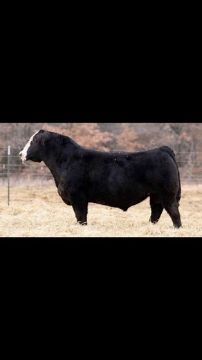 56K views · 796 reactions | As Robbie VanHove put it, “there HAS...