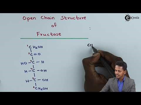 Open Chain Structure of Fructose - Biomolecules - Chemistry Class 12
