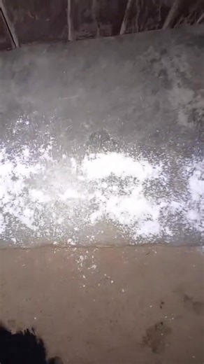 118K views · 1K reactions | #usareels #Congo #kenya #saudemental #Zambia #Mozambique #saude #Usar #mozambiqu #eels | Mzee Peter | Facebook