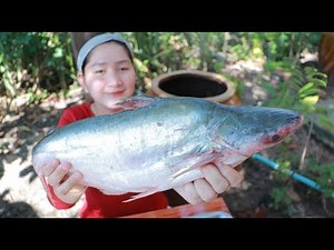 Tasty Pangasius Fish Cooking Ginger Recipe - Cooking With Sros