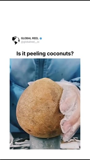 GLOBAL REEL on Instagram: "The post showcases a 20-second video of a gloved hand using a fixed metal scraper on a concrete base to effortlessly husk a mature coconut, stripping away the brown fibers to reveal the smooth white shell in under 30 seconds. Posted early on January 4, 2026, by space_skyy-a casual account with a simple bio-it quickly amassed 12,000+ views and 100+ replies, mostly in Indonesian expressing envy over the technique's simplicity and the fruit's freshness. This method employ