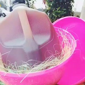 37K views · 397 reactions | Easter Egg Hunt Jackpot! | McAlister's Deli | Facebook