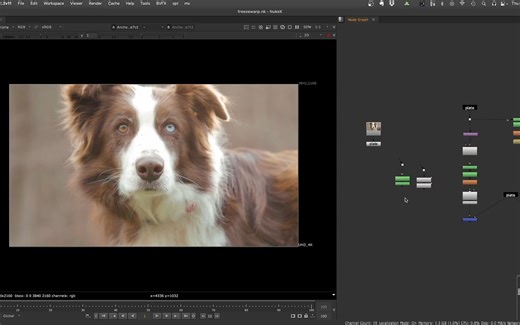 NUKE插件-Splinewarp v3.0