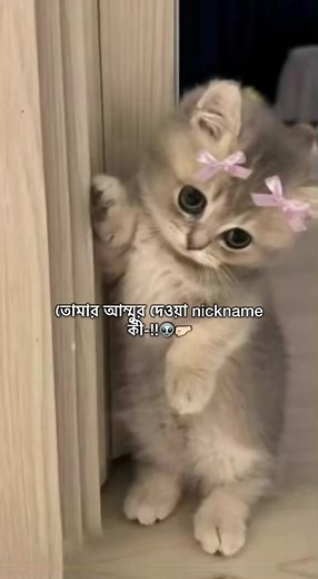 Hm hm?? meaning: common TikTok caption explained