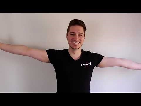 Brave - Sara Bareilles - SignSing - Lyrics