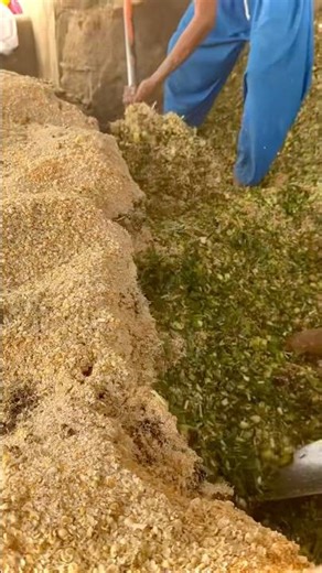Haath Se Chara Mix 😱🌿 Real Desi Farm Work 🔥”