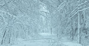 Texas Supreme Court says ERCOT can't be sued over 2021 winter storm