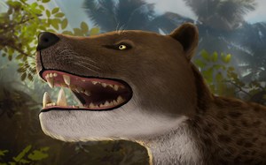 Ancient Skull Unearthed in Egypt Reveals a 30-Million-Year-Old Apex Predator