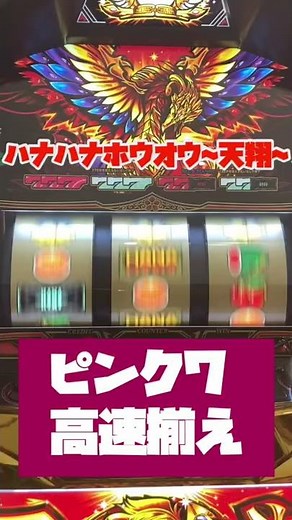 「これが出来たら、ちょい自慢?! ボーナス高速目押し!」ハナハナホウオウ～天翔～ 25&30 #Shorts