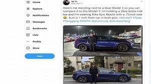 Tesla Model Y, Model 3, Model X And Model S: Size Comparison