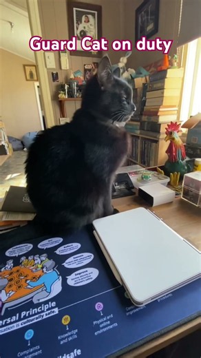 Cocoa is guarding Daddy and the house #stormhaven #homesteadlife #stormhavenlife #blackcat