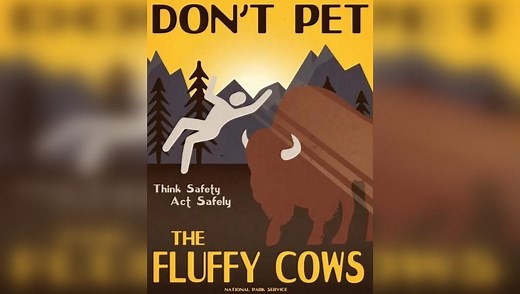 The NPS Has a Message for Visitors: "Don't Pet the Fluffy Cows"