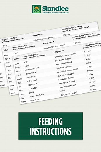Forage & Beet Pulp Feeding Instructions for Horses & Livestock