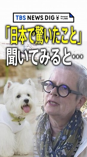 意外！外国人が驚くニッポンの光景 「デパ地下」や「終電」など町や空港など外国人に「日本に来て驚いたこと」を聞いてみると意外な回答が続々｜TBS NEWS DIG #shorts