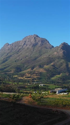 Ready to move beyond “more posts”? Eco Africa Digital builds ROI-driven campaigns that connect AI insight with Africa’s authentic storytelling. Chat with our new AI assistant and receive your high-level strategy roadmap — personalised for your brand in minutes. 👉 Start here → ecoafricadigital.co.za/chatbot.html | Eco Africa Digital