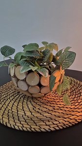 DIY Rustic Wood Slice Planter | Step-by-Step Tutorial for Cozy Home Décor Lovers | DIY & Crafts