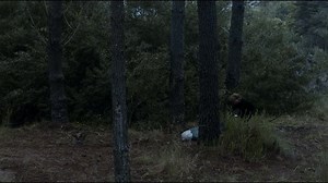 High Tide 2020 1080p Latino