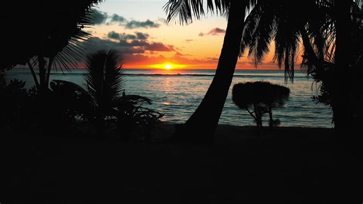 Exploring the Beauty of Nature and Freedom