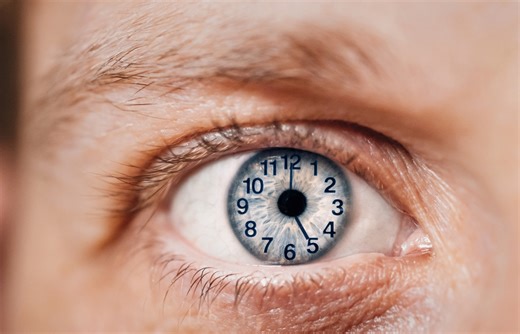 Human Vision Functions With a 15-Second Delay, Which Means What You See Now Has Happened in The Past.