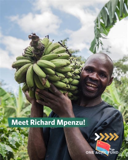 1.6K views · 25 reactions |  Meet Richard Mpenzu, a dedicated farmer...