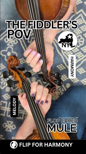 Flop Eared Mule from #thefiddlerspov, #fiddle, #violin, #flopearedmule, #gretchenkoehlermusic