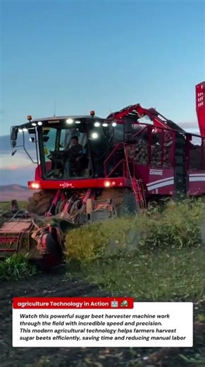 Powerful Sugar Beet Harvester in Action | Modern Farming Technology