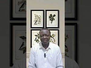 E1S1 | Mysteries of the Spirit |The Wind and the Spirit