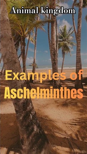 Examples of Aschelminthes.#shorts #ytshorts #neet #youtubeshorts #ncert #biology #Animal Kingdom
