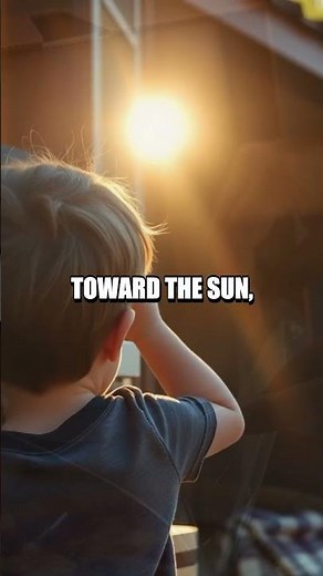 Sunlit Snack Lab The DIY Cardboard Solar Oven