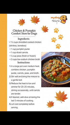 Homemade Dog Food Recipes on Reels