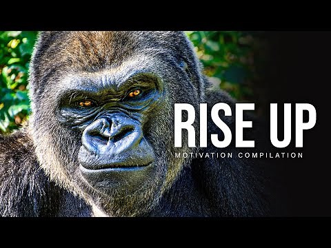 RISE UP - Best Motivational Speech Video Compilation | 30-Minutes of the Best Motivation