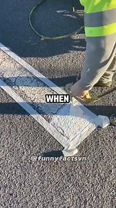 36K views · 673 reactions | Interesting facts you never knew | Untold Facts | Facebook