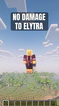 This way you can use elytra forever in Minecraft.