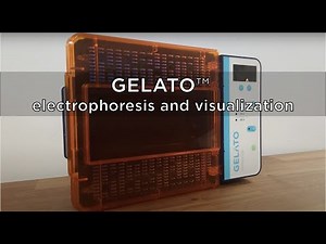 Meet the GELATO™ electrophoresis and visualization system