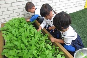 About Us - Tzu Chi Education 慈濟美國教育基金會