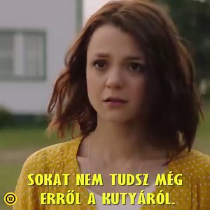 15K views · 506 reactions | Az EGY KUTYA NÉGY ÚTJA megérkezett a mozikba. Sok kalandos, vicces és megható élmény varázsol el minden mozizni vágyót! 李 | Freeman Film | Facebook