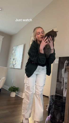 Cat Throws Tantrum Like a Baby - Funny Cat Video