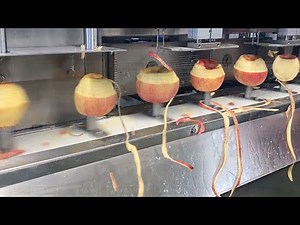 Inside Massive Apple and Juice Harvesting and Processing Factory
