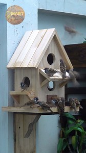 3K views · 18 reactions | Build MostAmazing Bird House  Bird Box Terrace  #DIY #Trick #Tricks #Technique #handmade #Woodworking #woodworkingtips #Tool #carpentry #craft #birdlovers #birdphotography #birdwatching #hardwood #birdsofinstagram | Smart DIYs & Crafts | Facebook