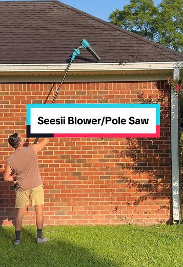 Seesii Blower Pole Saw — Best Yard Work Must-Have