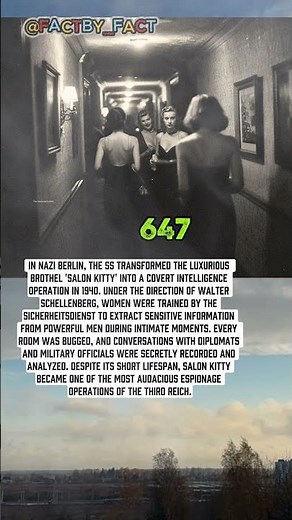 The Hidden Espionage of Salon Kitty 💋🎙️