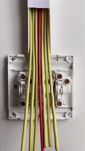 Wiring a Multi-Gang Light Switch Box