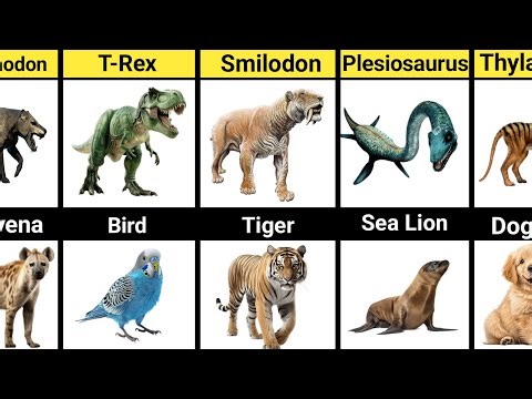 Ancient Predators That Look Exactly Like Animals Today