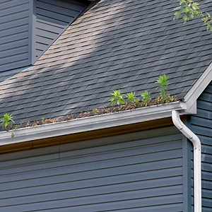 1.3K views · 18 reactions | Wondering if LeafFilter is a worthy investment for your home? Don't take our word for it -- ask our customers: "We have leaf filter on our house and garage, haven’t been on the roof for over 2 years worth the price when you know you’re staying in your house and safety is a concern" -Janice Flick  | LeafFilter Gutter Protection | Facebook