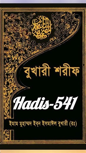 হাদিস -৫৪১ | Hadis-541 | Audio Hadis Bangla | #banglahadis #shorts #shortsfeed