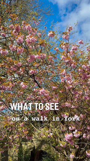 LISA DAWSON | Just call me a one woman York Tourist Board 😑😂 Went for a sunny walk with the dog and it wasn’t windy and felt properly Spring like (slight... | Instagram