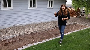 29K views · 1.1K reactions | Fill a large area, or just a small corner with Tangerine Slice A-Peel black-eyed Susan vine and our hummingird magnet, Rockin' Deep Purple salvia. Both are incredibly easy to grow, and will color your outdoor home all summer long! | Proven Winners | Facebook