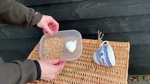 3.6K views · 55 reactions | Feed your garden birds in style with this...
